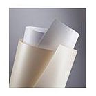 Cartoane Speciale Tipar Laser/Inkjet