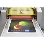 AnemonaCom 390E